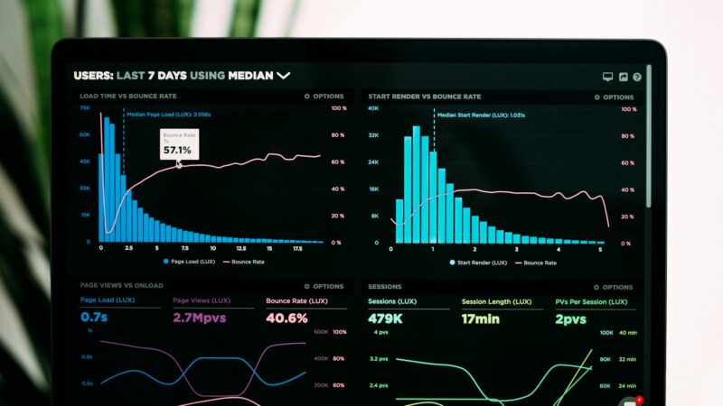 AI model card documentation shown as a structured model report dashboard.