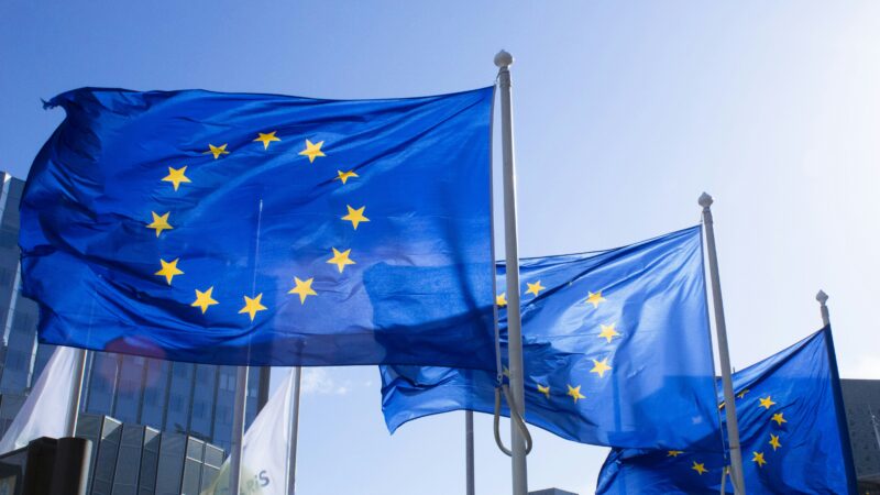 European Union flags outside a government building, illustrating AI regulation.