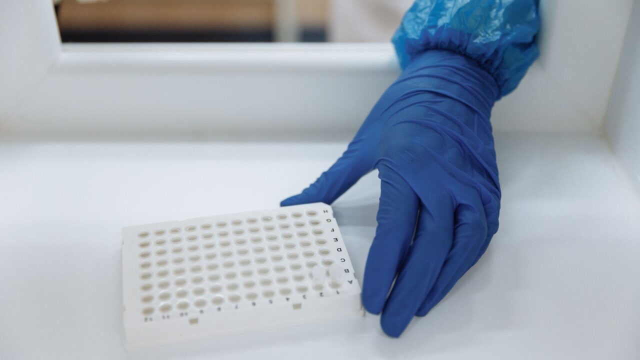 Scientist with protective gloves handling test samples in a sterile laboratory environment.